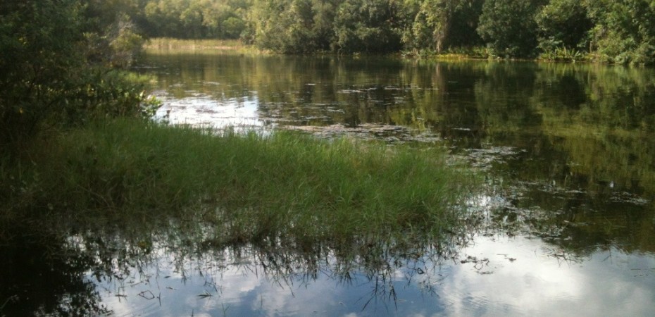 Alexander Springs, Florida