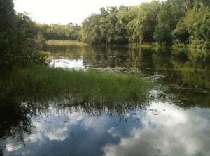 Alexander Springs, Florida