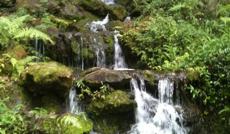 rainbow springs park @ garzafx.com