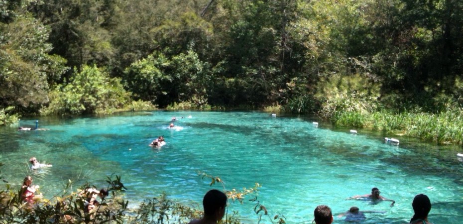 Ichetucknee Springs @ GarzaFX.com