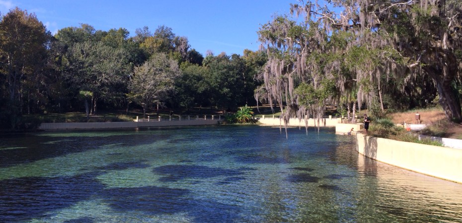 Salt Springs Recreation Area in the Ocala National Forest @ Salt Springs, Florida @ GarzaFX.com