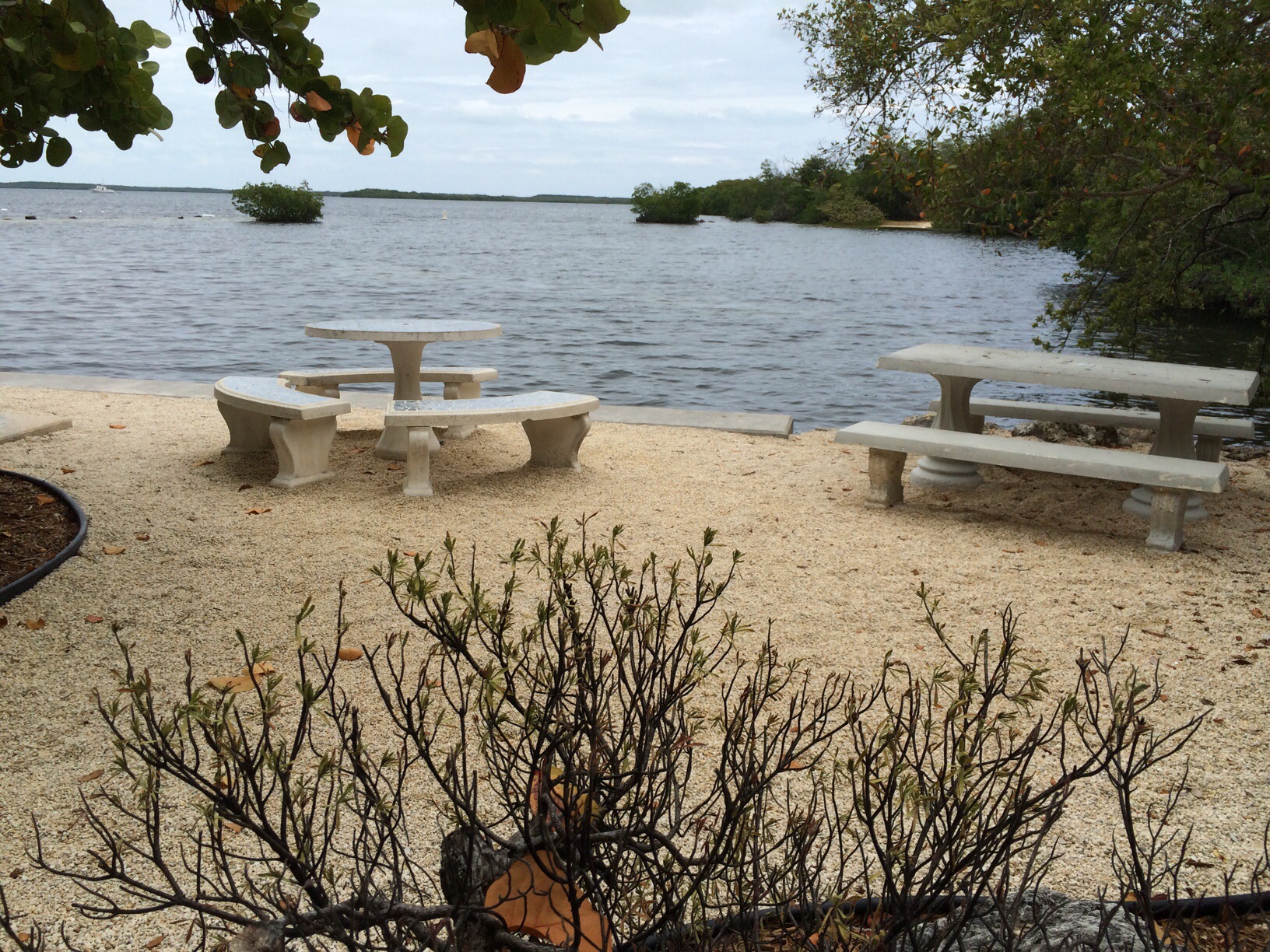 John Pennekamp State Park @ Key Largo, Florida 9.jpg