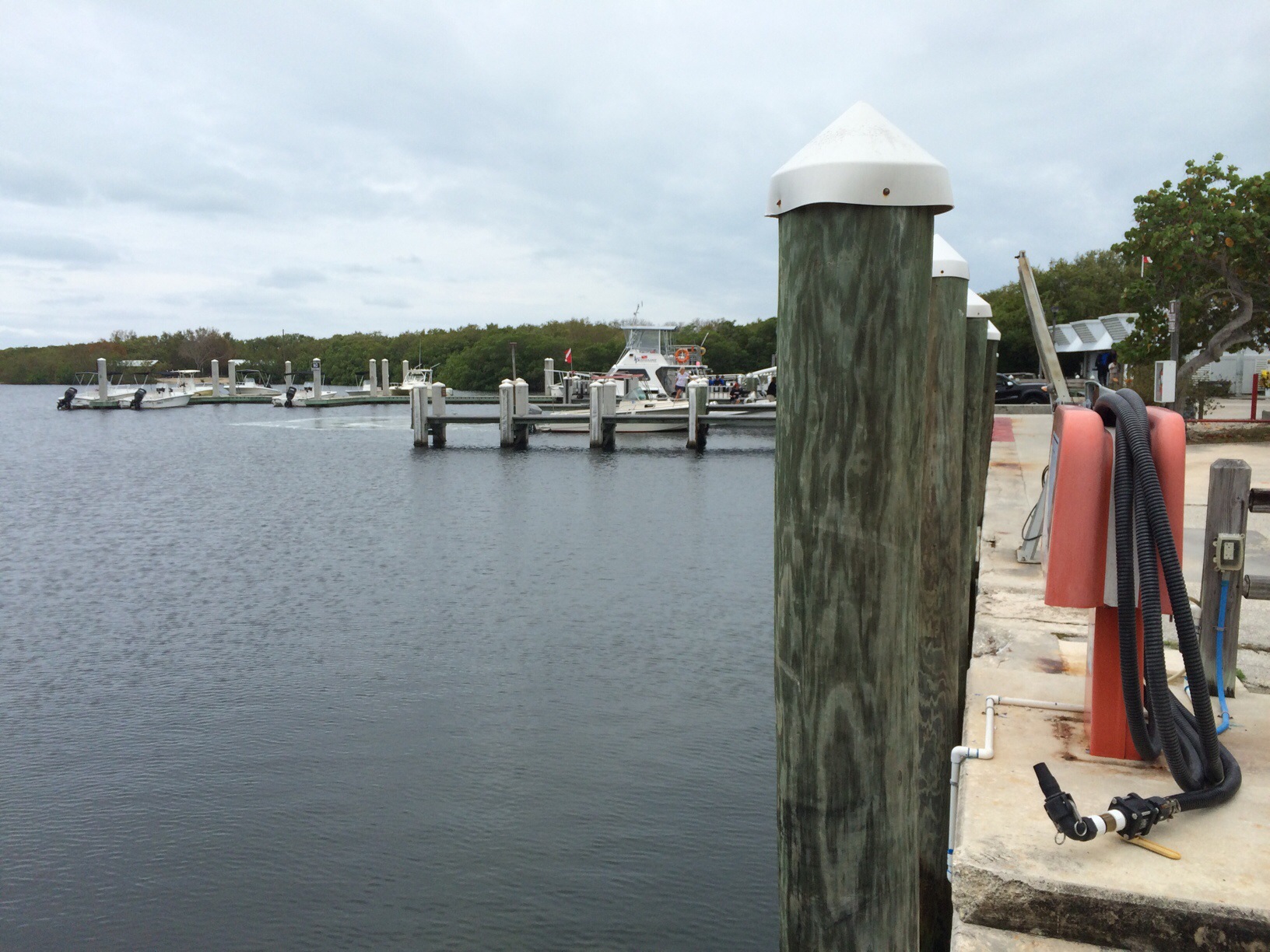 John Pennekamp State Park @ Key Largo, Florida 7.jpg