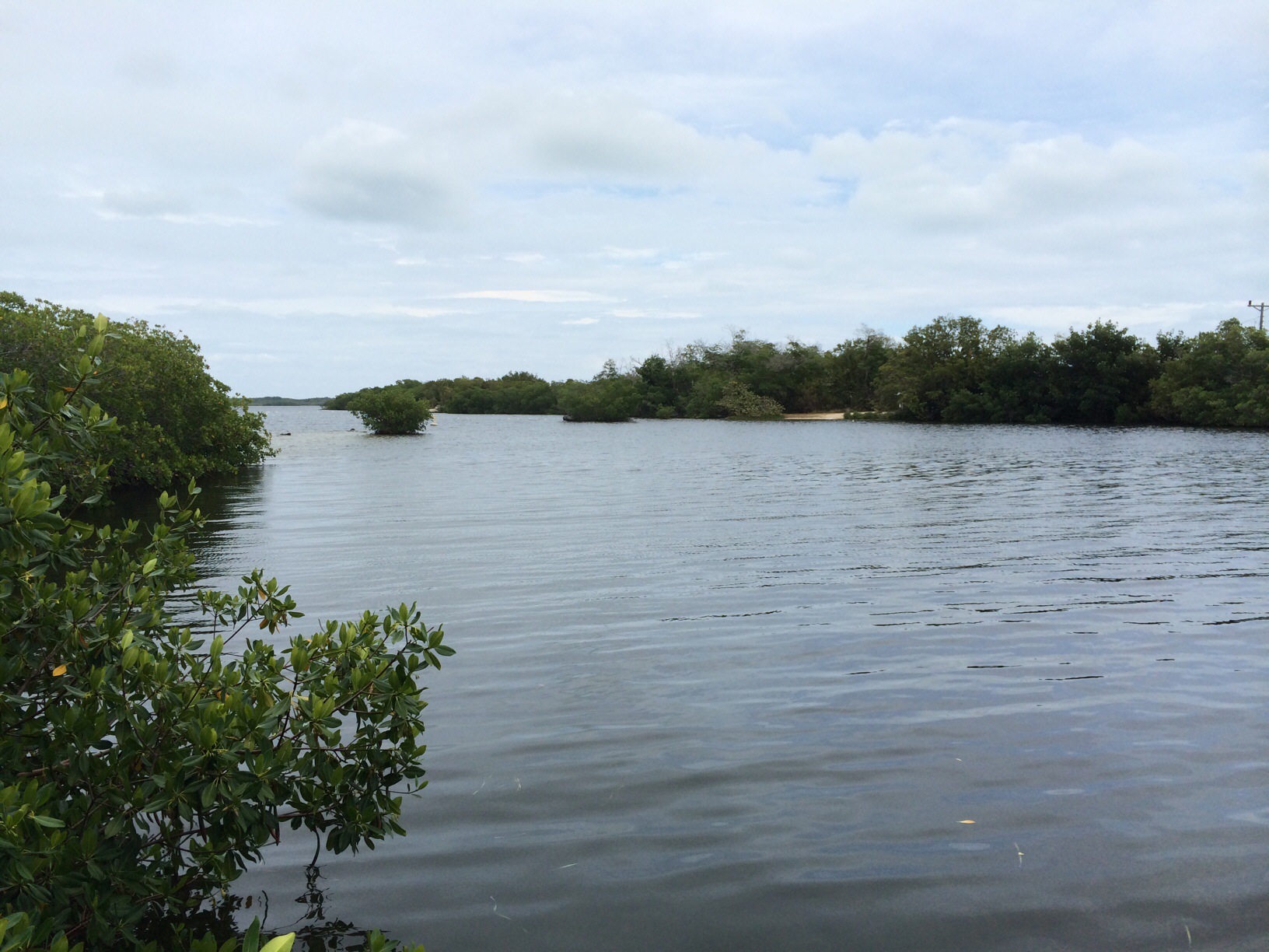 John Pennekamp State Park @ Key Largo, Florida 4.jpg