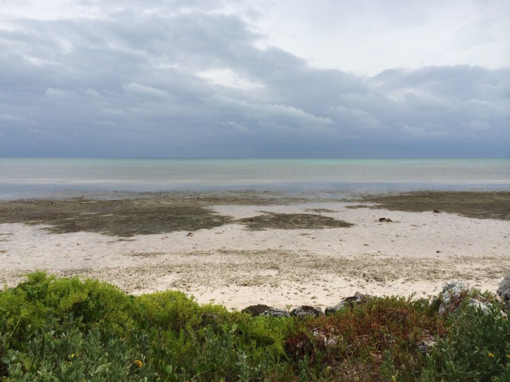 Long Key State Park @ Long Key, Florida @ garzafx.com 2.jpg