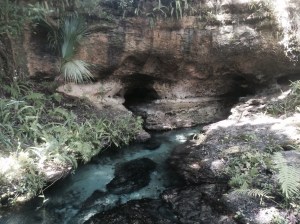 rock springs kelly park apopka, florida