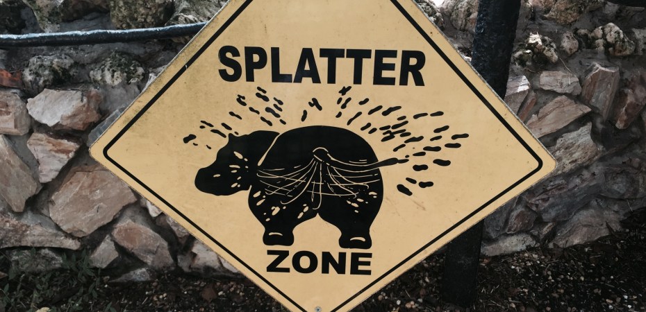 hippo splatter @ garzafx.com
